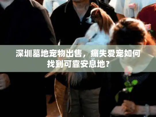 深圳墓地宠物出售，痛失爱宠如何找到可靠安息地？