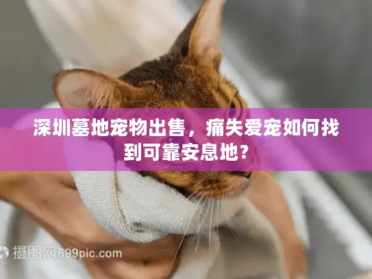 深圳墓地宠物出售，痛失爱宠如何找到可靠安息地？