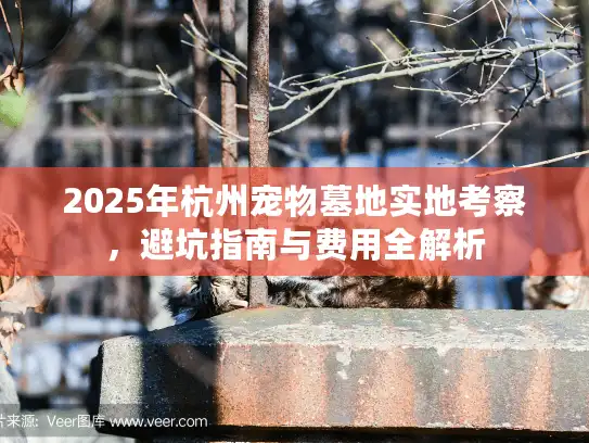 2025年杭州宠物墓地实地考察，避坑指南与费用全解析