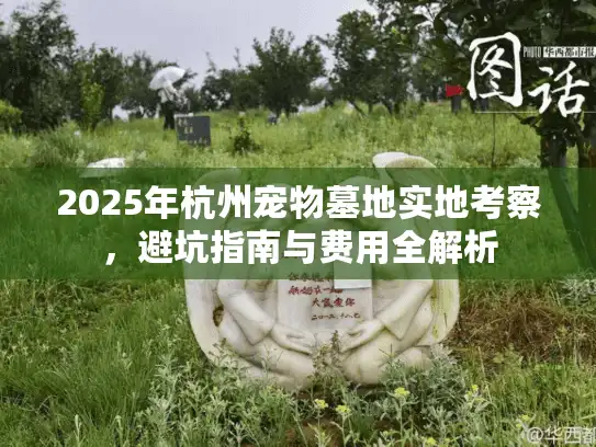 2025年杭州宠物墓地实地考察，避坑指南与费用全解析