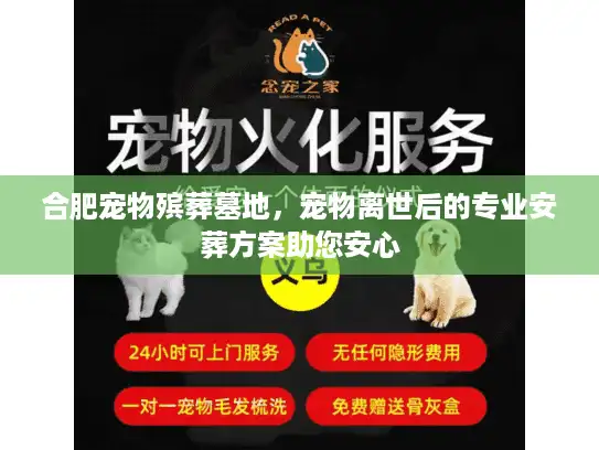 合肥宠物殡葬墓地，宠物离世后的专业安葬方案助您安心
