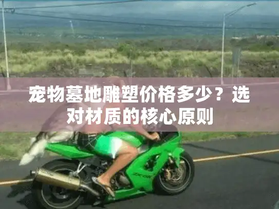 宠物墓地雕塑价格多少？选对材质的核心原则