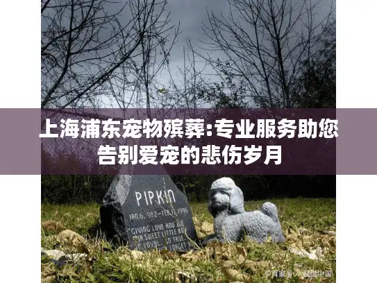 上海浦东宠物殡葬:专业服务助您告别爱宠的悲伤岁月