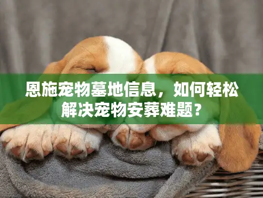 恩施宠物墓地信息，如何轻松解决宠物安葬难题？
