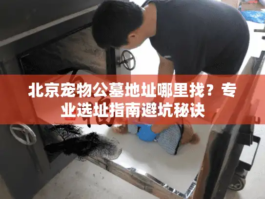 北京宠物公墓地址哪里找？专业选址指南避坑秘诀