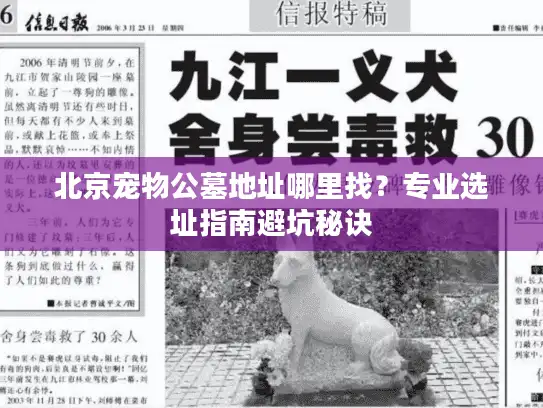 北京宠物公墓地址哪里找？专业选址指南避坑秘诀