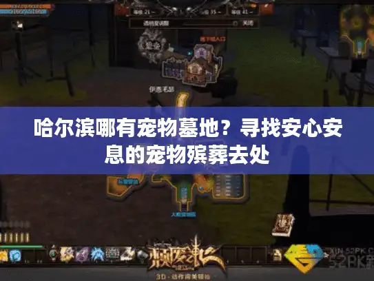 哈尔滨哪有宠物墓地？寻找安心安息的宠物殡葬去处