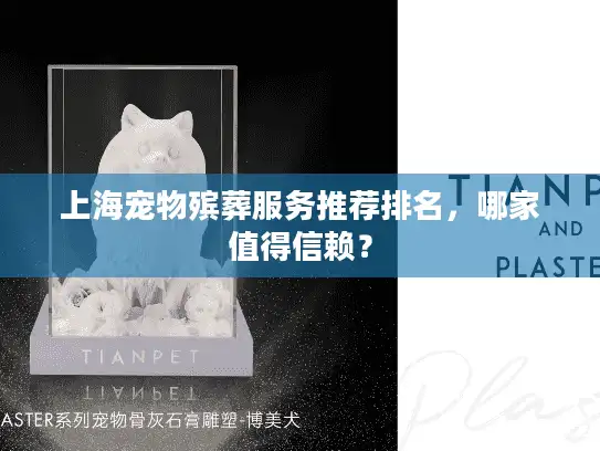 上海宠物殡葬服务推荐排名，哪家值得信赖？