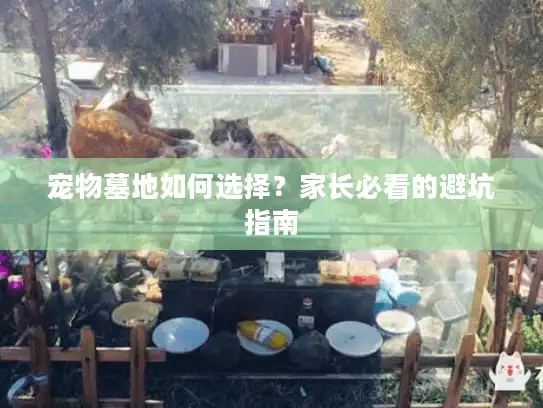 宠物墓地如何选择？家长必看的避坑指南