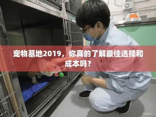 宠物墓地2019，你真的了解最佳选择和成本吗？