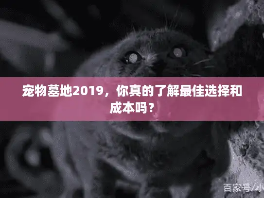 宠物墓地2019，你真的了解最佳选择和成本吗？