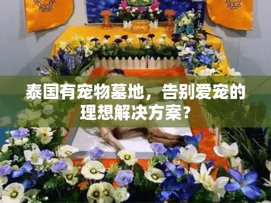 泰国有宠物墓地，告别爱宠的理想解决方案？