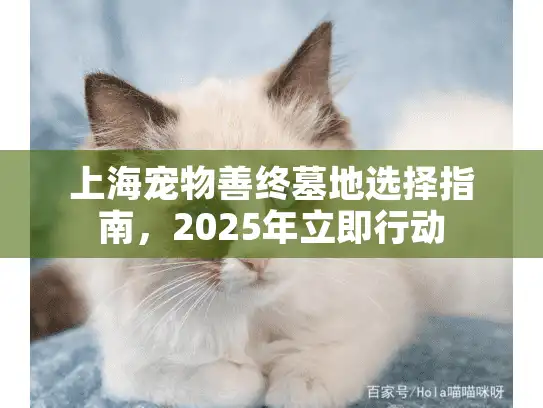 上海宠物善终墓地选择指南，2025年立即行动