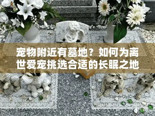 宠物附近有墓地？如何为离世爱宠挑选合适的长眠之地
