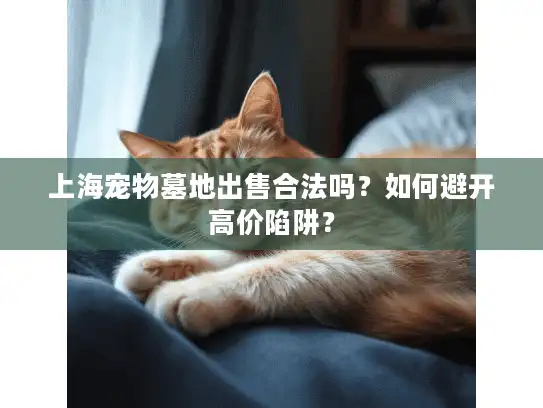 上海宠物墓地出售合法吗？如何避开高价陷阱？