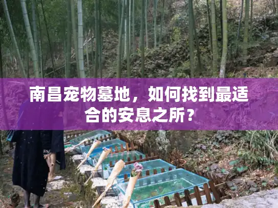 南昌宠物墓地，如何找到最适合的安息之所？