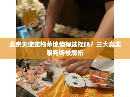 北京天使宠物墓地值得选择吗？三大真实服务场景解析