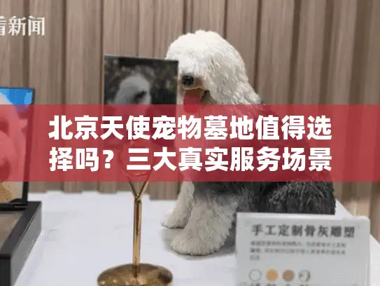 北京天使宠物墓地值得选择吗？三大真实服务场景解析