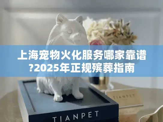 上海宠物火化服务哪家靠谱?2025年正规殡葬指南
