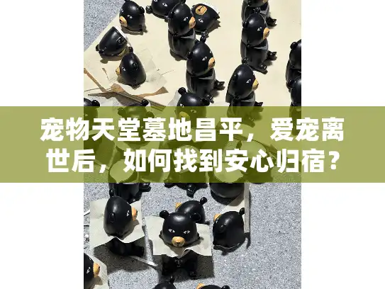 宠物天堂墓地昌平，爱宠离世后，如何找到安心归宿？