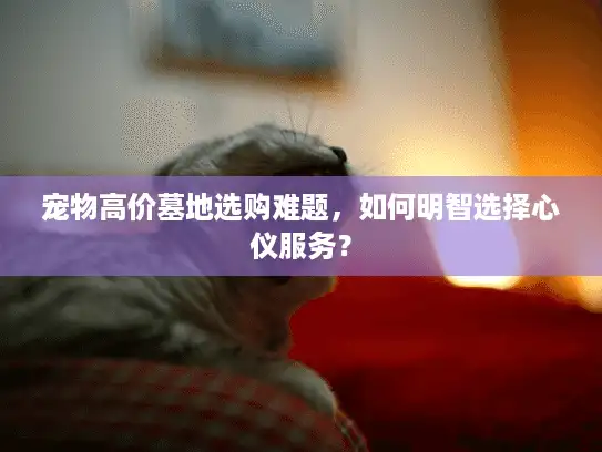 宠物高价墓地选购难题，如何明智选择心仪服务？