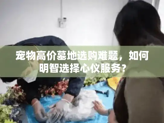 宠物高价墓地选购难题，如何明智选择心仪服务？