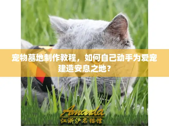 宠物墓地制作教程，如何自己动手为爱宠建造安息之地？