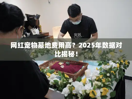 网红宠物墓地费用高？2025年数据对比揭秘！
