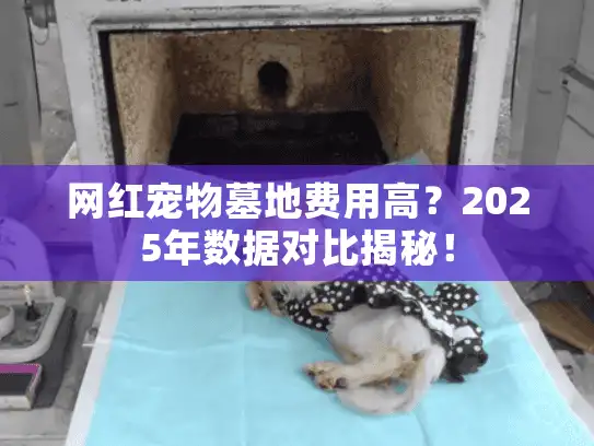 网红宠物墓地费用高？2025年数据对比揭秘！