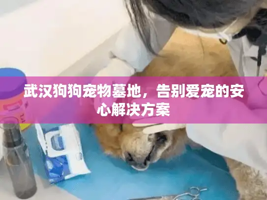 武汉狗狗宠物墓地，告别爱宠的安心解决方案
