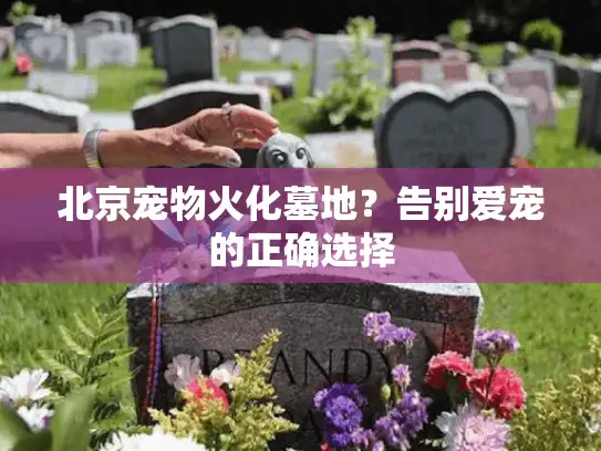 北京宠物火化墓地？告别爱宠的正确选择