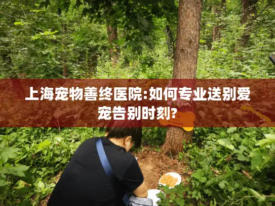 上海宠物善终医院:如何专业送别爱宠告别时刻?