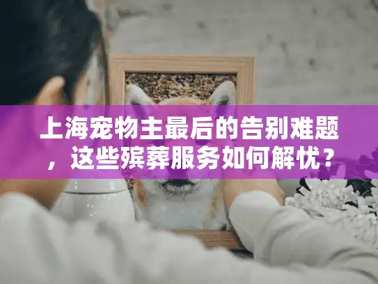 上海宠物主最后的告别难题，这些殡葬服务如何解忧？