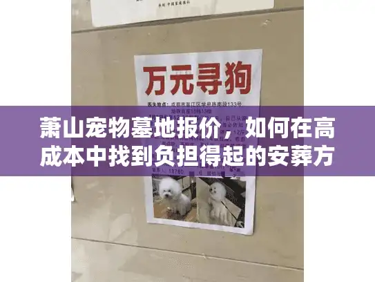 萧山宠物墓地报价，如何在高成本中找到负担得起的安葬方案？