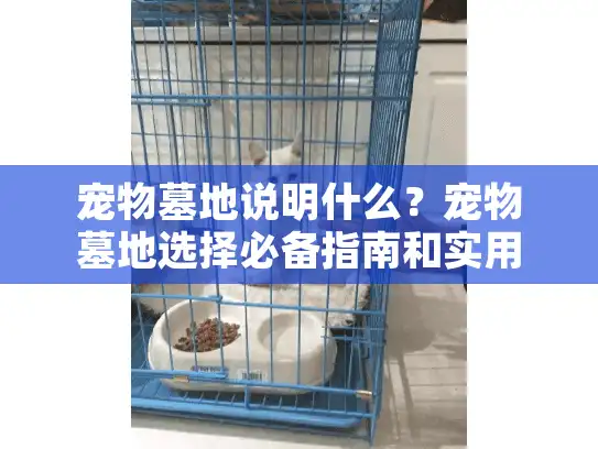 宠物墓地说明什么？宠物墓地选择必备指南和实用建议解析