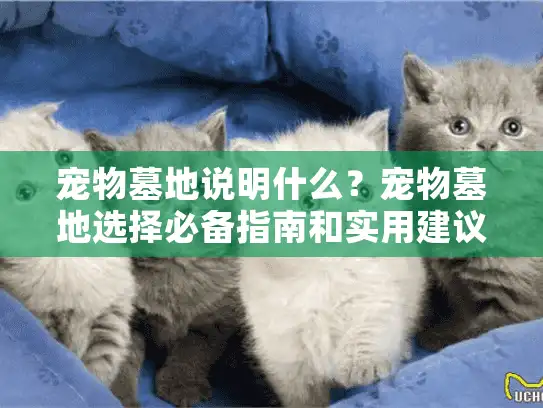 宠物墓地说明什么？宠物墓地选择必备指南和实用建议解析