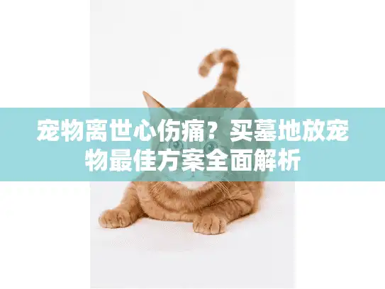 宠物离世心伤痛？买墓地放宠物最佳方案全面解析