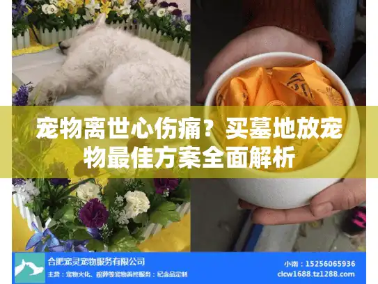 宠物离世心伤痛？买墓地放宠物最佳方案全面解析