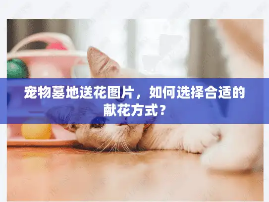 宠物墓地送花图片，如何选择合适的献花方式？