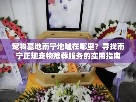 宠物墓地南宁地址在哪里？寻找南宁正规宠物殡葬服务的实用指南