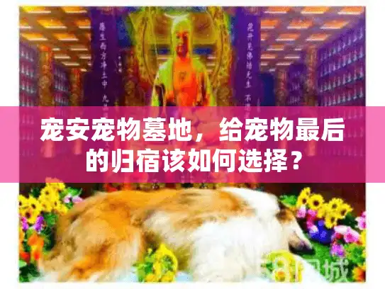 宠安宠物墓地，给宠物最后的归宿该如何选择？