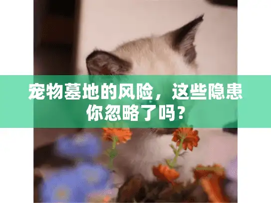 宠物墓地的风险，这些隐患你忽略了吗？