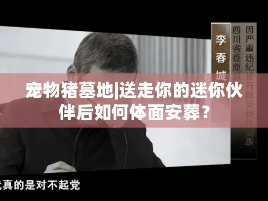 宠物猪墓地|送走你的迷你伙伴后如何体面安葬？