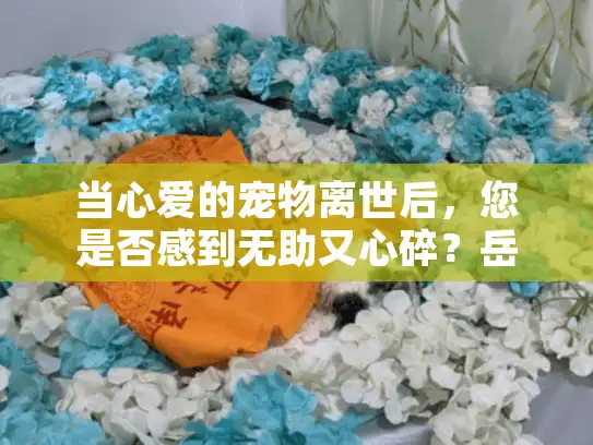 当心爱的宠物离世后，您是否感到无助又心碎？岳阳宠物安乐墓地正是为您提供专业解决方案的地方