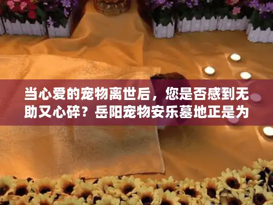 当心爱的宠物离世后，您是否感到无助又心碎？岳阳宠物安乐墓地正是为您提供专业解决方案的地方