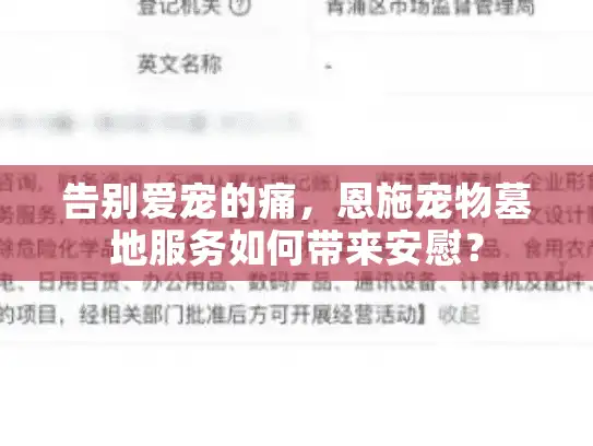 告别爱宠的痛，恩施宠物墓地服务如何带来安慰？