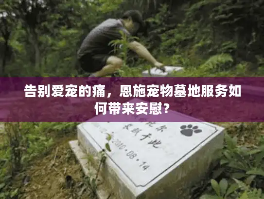 告别爱宠的痛，恩施宠物墓地服务如何带来安慰？