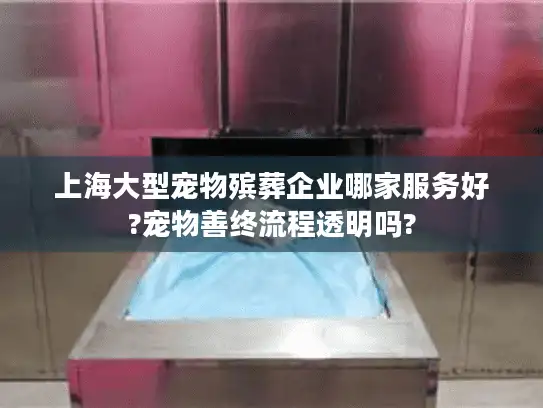 上海大型宠物殡葬企业哪家服务好?宠物善终流程透明吗?