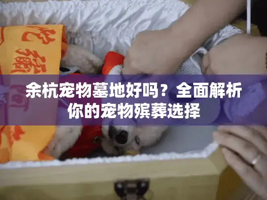 余杭宠物墓地好吗？全面解析你的宠物殡葬选择