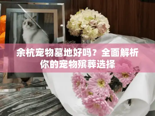余杭宠物墓地好吗？全面解析你的宠物殡葬选择